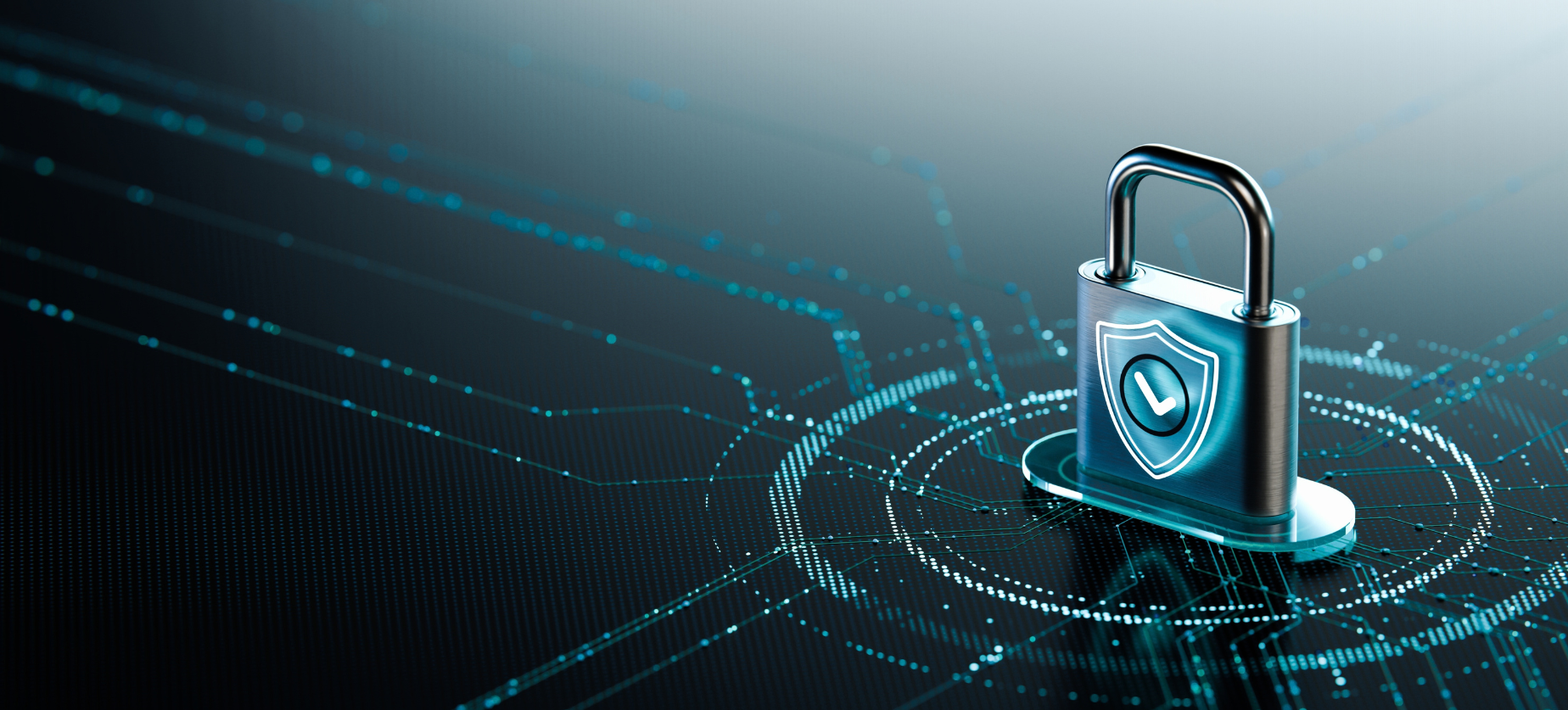 Lock with shield and check
