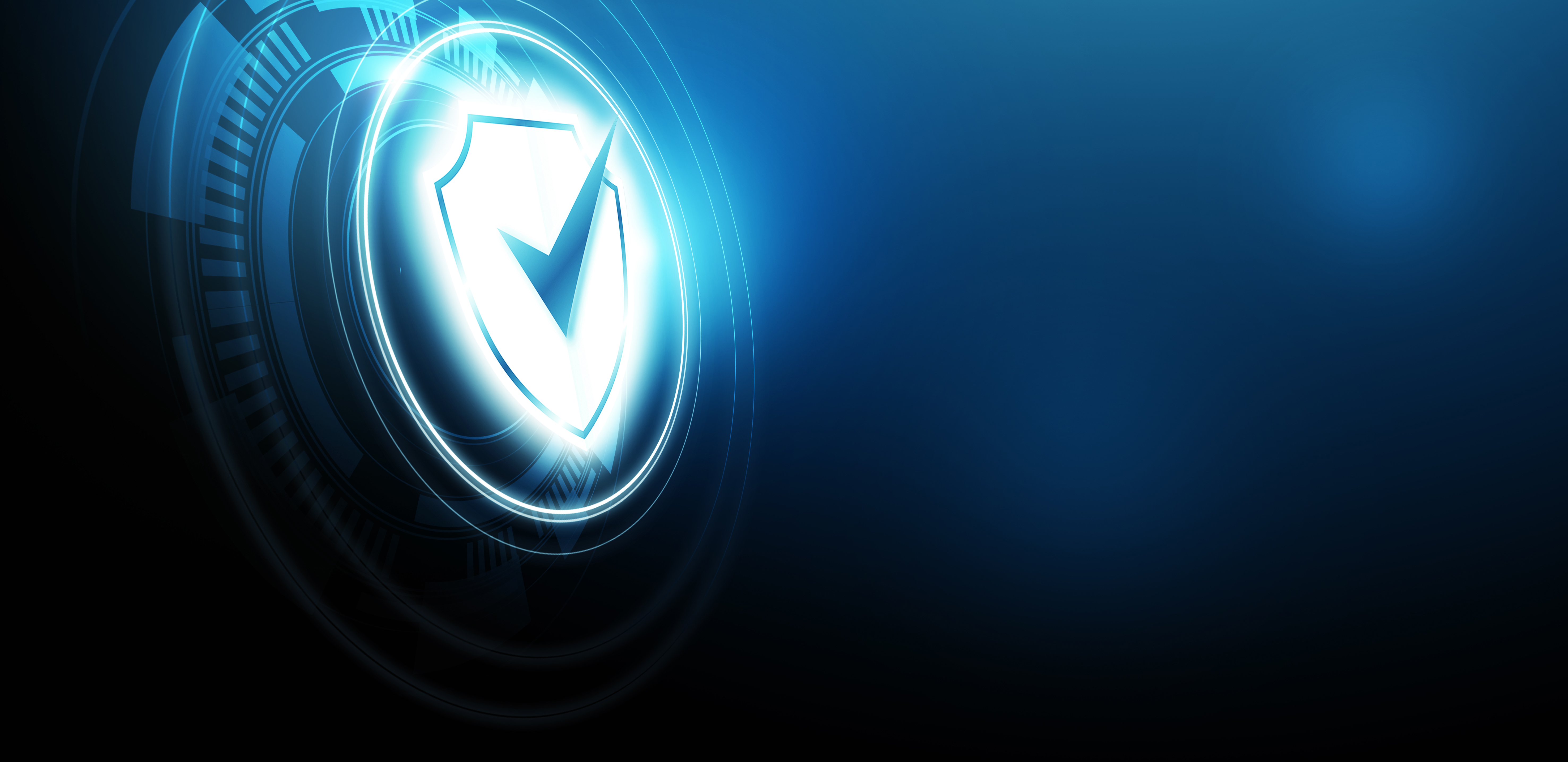 shutterstock_1842229174v2 checkmark on top of shield