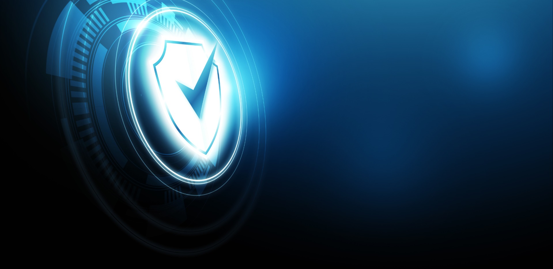 checkmark on top of shield